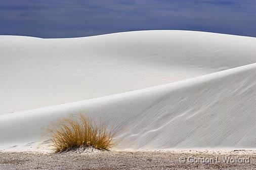 White Sands_31986.jpg - Photographed at the White Sands National Monument near Alamogordo, New Mexico, USA.